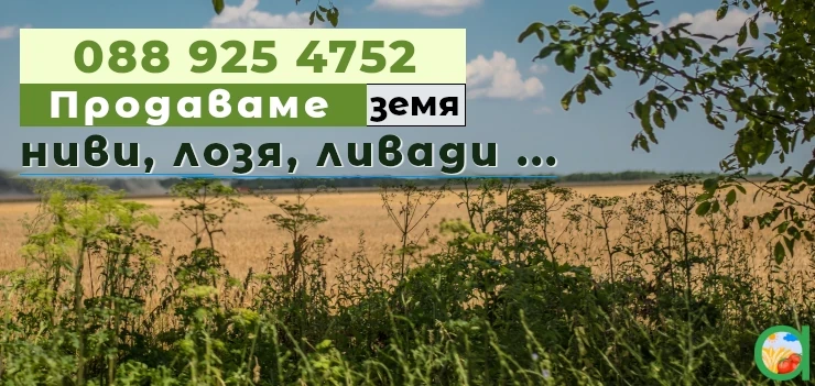 Агриада ЕООД продава земя, земеделски имоти - ниви, лозя, ливади