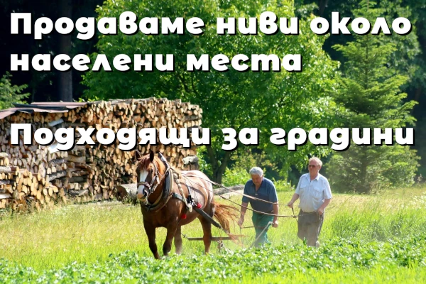 Продаваме ниви, лозя близо до село, подходящи за зеленчукови и овощни градини